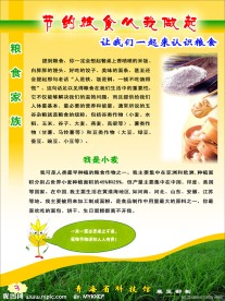 节约粮食从我做起