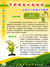 节约粮食从我做起