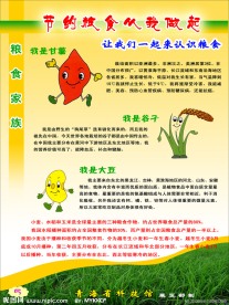 节约粮食从我做起