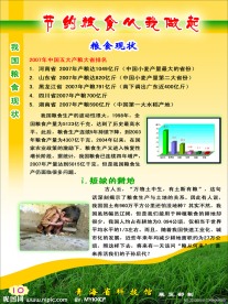 节约粮食从我做起