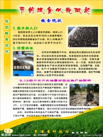 节约粮食从我做起