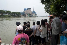 端午节龙舟比赛群众