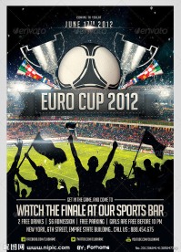 2012 欧洲杯 足球赛海报