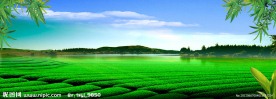 茶园海报设计素材