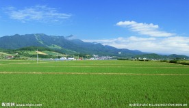 高清田野风光摄影