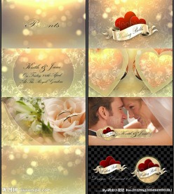 Wedding Bells 浪漫温馨的婚礼片头