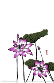 荷花水墨画
