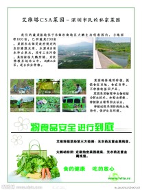 绿色蔬菜简报