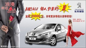 东风标志 408车顶架