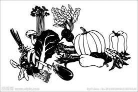 蔬菜黑白矢量图