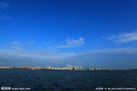 藏龙岛汤逊湖风光