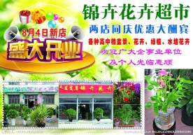 花卉超市开业DM单