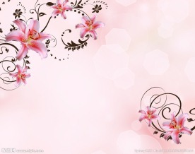 百合花纹