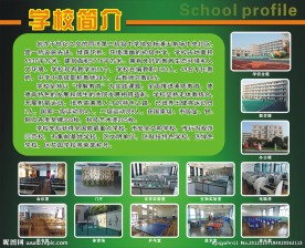 学校展板