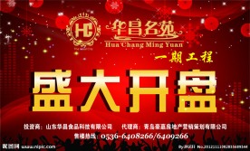 房地产 盛大开盘