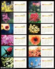2013超简洁台历内页模板