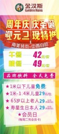 金汉斯圣诞元旦展架
