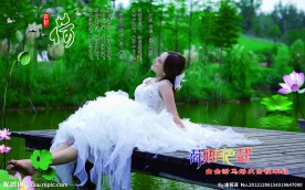 荷塘月色主题婚礼 婚纱照