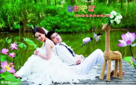 荷塘月色主题婚礼 婚纱照