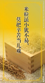 节约粮食 珍惜粮食