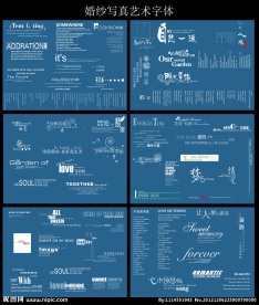 婚纱写真艺术字体图片