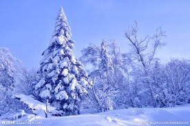 雪凇