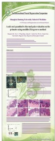 医疗杂志 展架