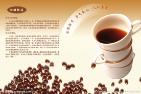 咖啡画册设计