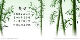 竹子背景