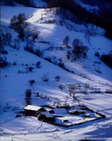 冬季冰雪雾凇