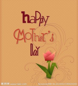 母亲节贺卡 郁金香