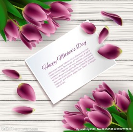母亲节贺卡 郁金香