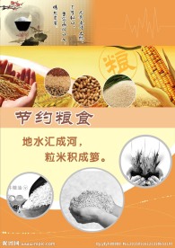 节约粮食