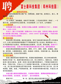 招聘彩页