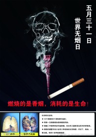 世界无烟日