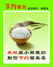 节约粮食展板