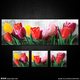 郁金香室内鲜花无框画