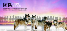 企业文化展板设计