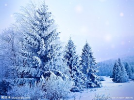 雪地
