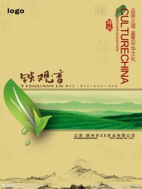 铁观音封面