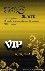 贵宾卡模版