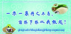 节约粮食展板