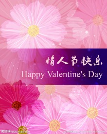 情人节封面