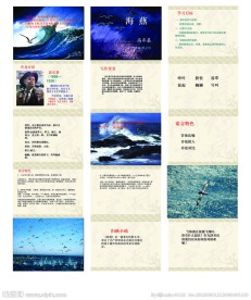 海燕教材 海燕教案