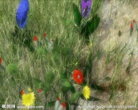 婚庆影视制作片头花开