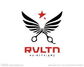 翅膀logo