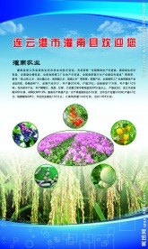连云港农业展板