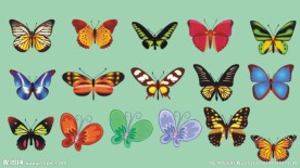 卡通蝴蝶矢量图
