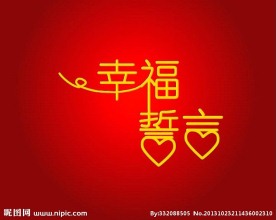 婚礼视频素材下载素材