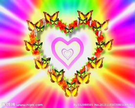 婚礼视频素材下载